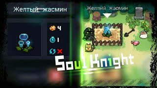 Soul Knight I Желтый жасмин I Растения