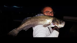 Trofe Levrek Avı! At-Çek Foça Spinning for Sea Bass シーバス 釣り