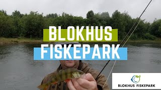 Blokhus fiskepark