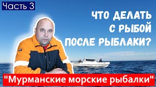 Что делать с рыбой после рыбалки? Рыбалка на треску, пикшу, сайду. Мурманские морские рыбалки.