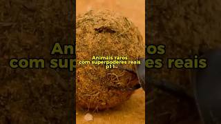 Animais raros com superpoderes reais p11 #animais