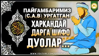 ПАЙҒАМБАРИМИЗ (С.А.В) АЙТГАН ШИФО ОЯТЛАРИ ҲАҚИДА | ЛАЙКНИ АЯМАНГ!