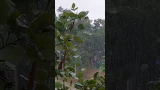 #rain #trending #viral #shortsviral #shortsvideo