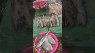 Kakaibang mga isda ang dami🥰🙏 #subscribe #everyone #viralvideo#fish #trending@jonathansascvlog