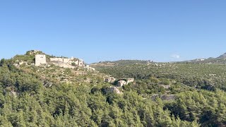 Finding Gems in the Syrian Coastal Mountains 🇸🇾