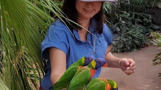 Lori Landing Avifauna