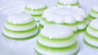 Thai Dessert - Coconut Milk and Pandan Jelly (Woon Ka Ti Bai Toey)