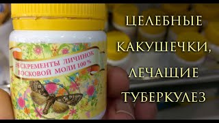 Целебный ароматный стул личинок восковой моли / Healing shit of wax moth larvae