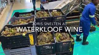 Work at the Waterkloof Estate winery, South Africa