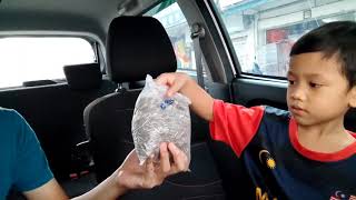 Beli Makanan Haiwan