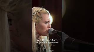 Morgan Wade - Wilder Days (Live from Blackbird Studio) #shorts