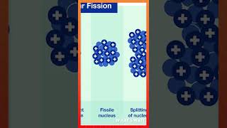 Lise Meitner and the nuclear fission