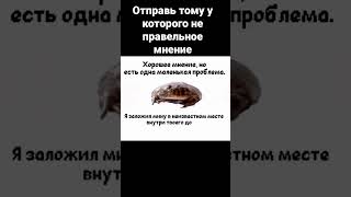 #рекомендации