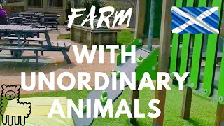 MORE THAN A FARM @ Edenmill Farm Shop, Cafe and Soft Play | Glasgow | G63 9AX