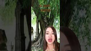 leyendas latinas arbol vampiro #espeluznante #paranormal #suspenso #viral #aparicion #short