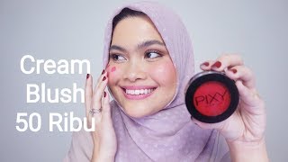 Pixy Cosmetics Twin Blush | Swatch Demo Review