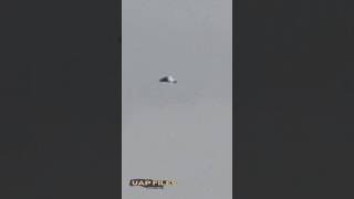 UFO 🛸 Pesaro, Italy 🇮🇹 #ufo #uap #ufoitally | Credit: Footage sent in to UAP_Files/ @ Freedereco_