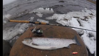 Criminal fishing // Ловля кумжи в Финском заливе