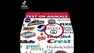 Companies that test on animals