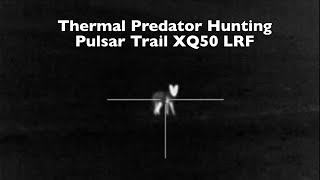 Thermal Predator Hunting | Calling in Midwest Coyotes at Night