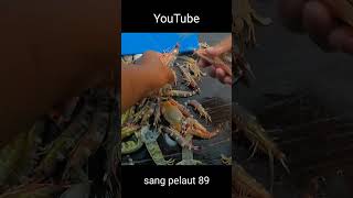 panen udang di laut bukan di tambak #viralvideo