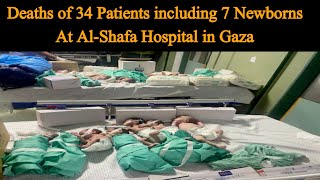 Deaths of 34 patients including 7 newborns at al-Shafa hospital in Gaza