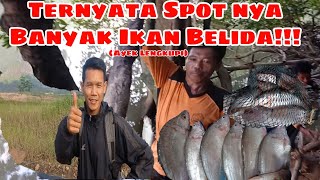 Mancing Di spot Banyak ikan Belida!!!