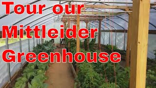 Mittleider garden greenhouse tour