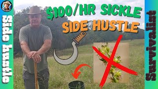 An Easy $50 Per Bucket | Sandbur Side Hustle #sidehustle #ninjanation