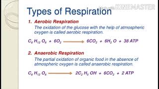 Respiration Introduction and Mitochondria-as respiratory site