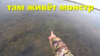 НАСКВОЗЬ ПРОМОК НО ДОВОЛЬНЫЙ КАК СЛОН / РЫБАЛКА НА БАЗЕ  ПРИГИБСКИЙ ЛИМАН  / ЩУКИ КАК ДЕЛЬФИНЫ