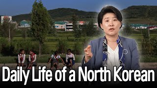 "If you do that in North Korea, you are dead" Daily Life of a North Korean