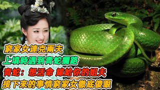 民間故事：窮家女連克兩夫，上墳時遇到青蛇攔路，青蛇：想活命，嫁給你的姐夫，接下來的事情窮家女徹底傻眼