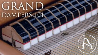 Grand Piano Dampers 101!