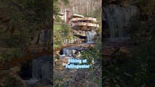 Hiking at Fallingwater