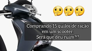 Comprando 15 quilos de ração no Petz, de Scooter | Moto Vlog 15