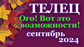 ТЕЛЕЦ - ТАРО ПРОГНОЗ на СЕНТЯБРЬ 2024 - ПРОГНОЗ РАСКЛАД ТАРО - ГОРОСКОП ОНЛАЙН ГАДАНИЕ