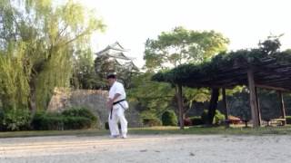 PINAN SONO NI - KATA KYOKUSHIN