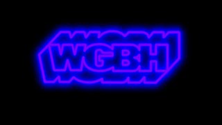 WGBH BOSTON VOCODEX EFFECTS