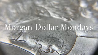 1891 CARSON CITY - SILVER DOLLAR - “MORGAN DOLLAR MONDAYS” WITH MASSABESIC GOLD and SILVER