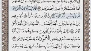 509 صفحة (سورة محمد )الحصري جودة عالية مرتل المصحف المجود