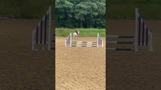 Come with me to my lesson on Basil #lemieux #horse