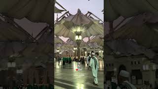 Indah nya Madinah Masjid Nabawi #izzumakki #shorts #short #shortsvideo #madina #fypシ #fypyoutube