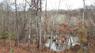 Meriwether County Georgia Hunting set