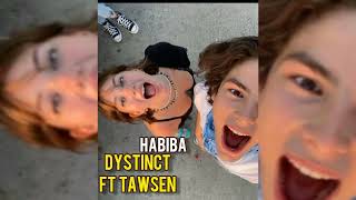 DYSTINCT -HABIBA ft Tawsen (slowed&reverb)