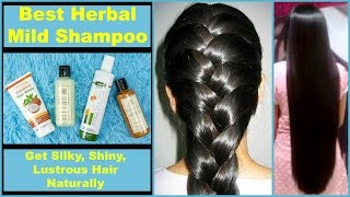 Best HERBAL & MILD Shampoos || Natural & Chemical Free