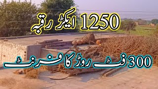 Land For Sale in Punjab | Zameen For Sale #agriculture #landforsale #azharjahangir