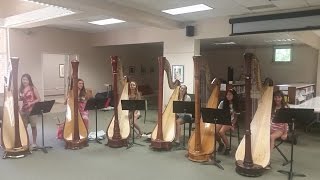 Connecticut Valley Harp Intensive 2016 Camp Video