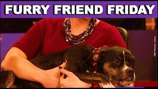 Oklahoma Animal Shelter Pet of the Week, "WHAT WOULD YOU NAME HER" Furry Friend Friday