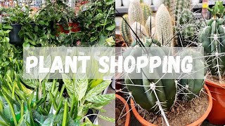 Garden Centre Plant Shopping in Lithuania 🌿🇱🇹